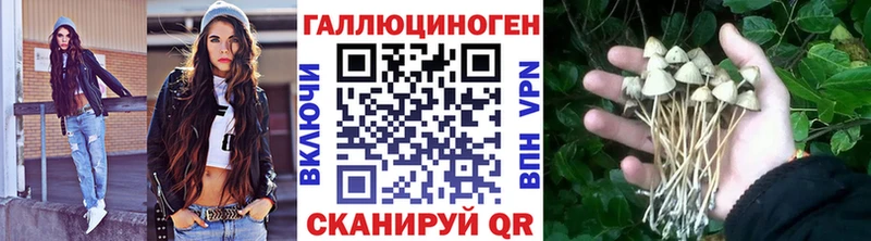 Псилоцибиновые грибы мицелий  Павловск 