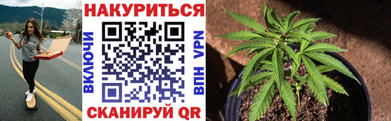 hydra как войти  Павловск  Конопля White Widow 